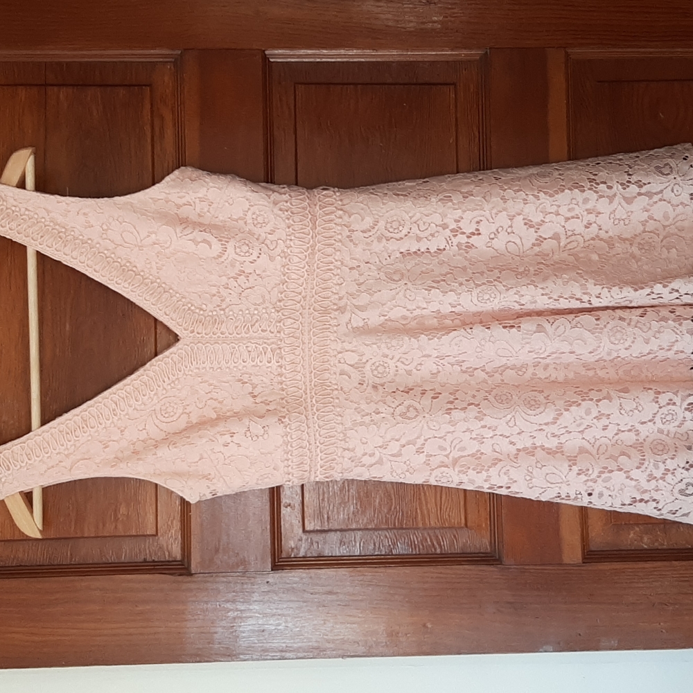 Francescas Closet Dusty Pink Lace Mini - Picture 2 of 9